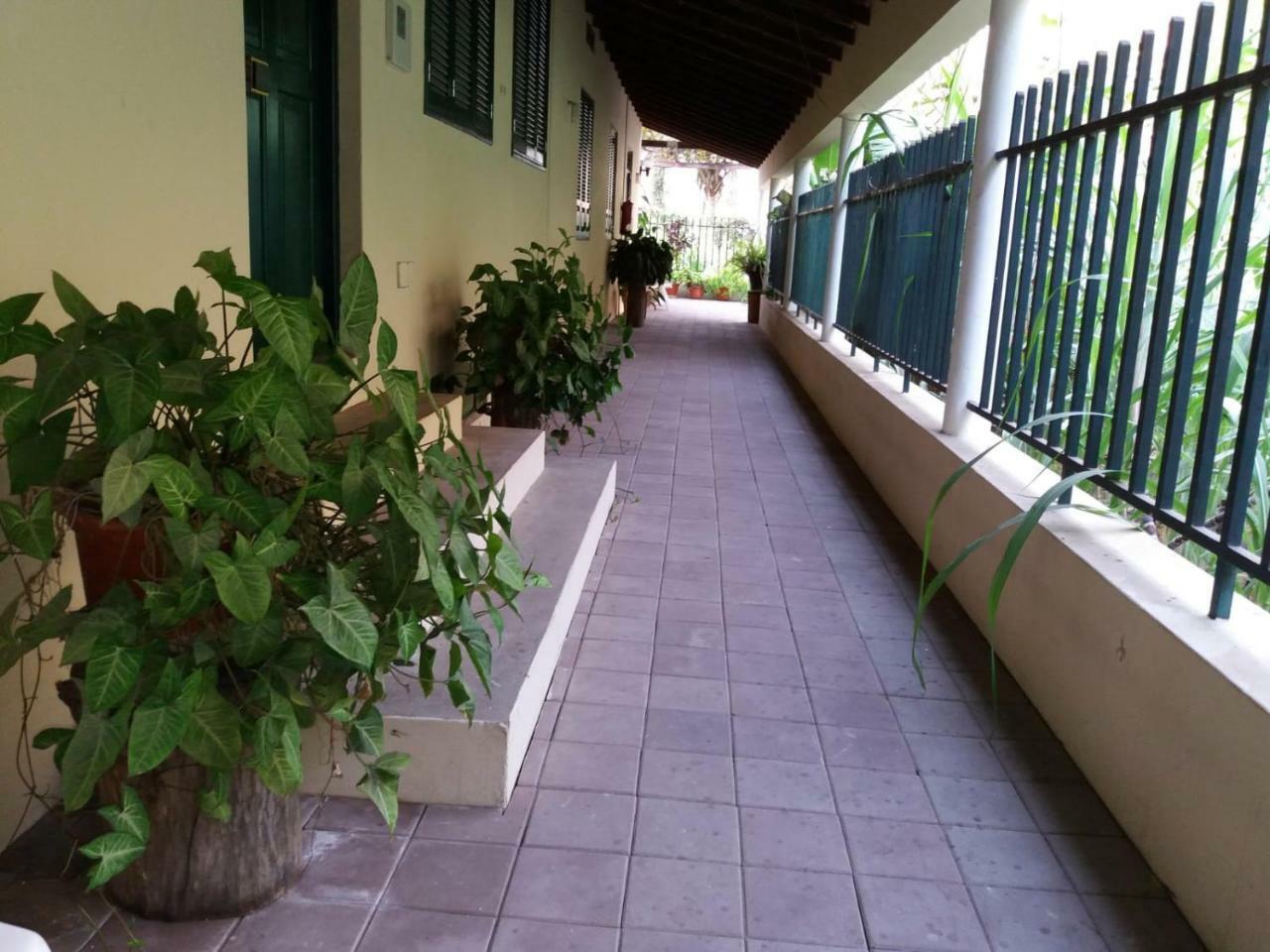 Ribeira Grande Country House Cha de Arroz エクステリア 写真