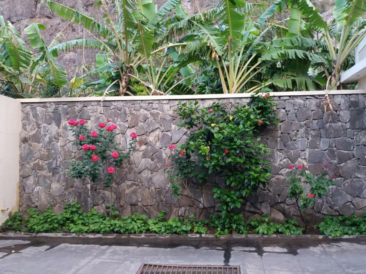 Ribeira Grande Country House Cha de Arroz エクステリア 写真