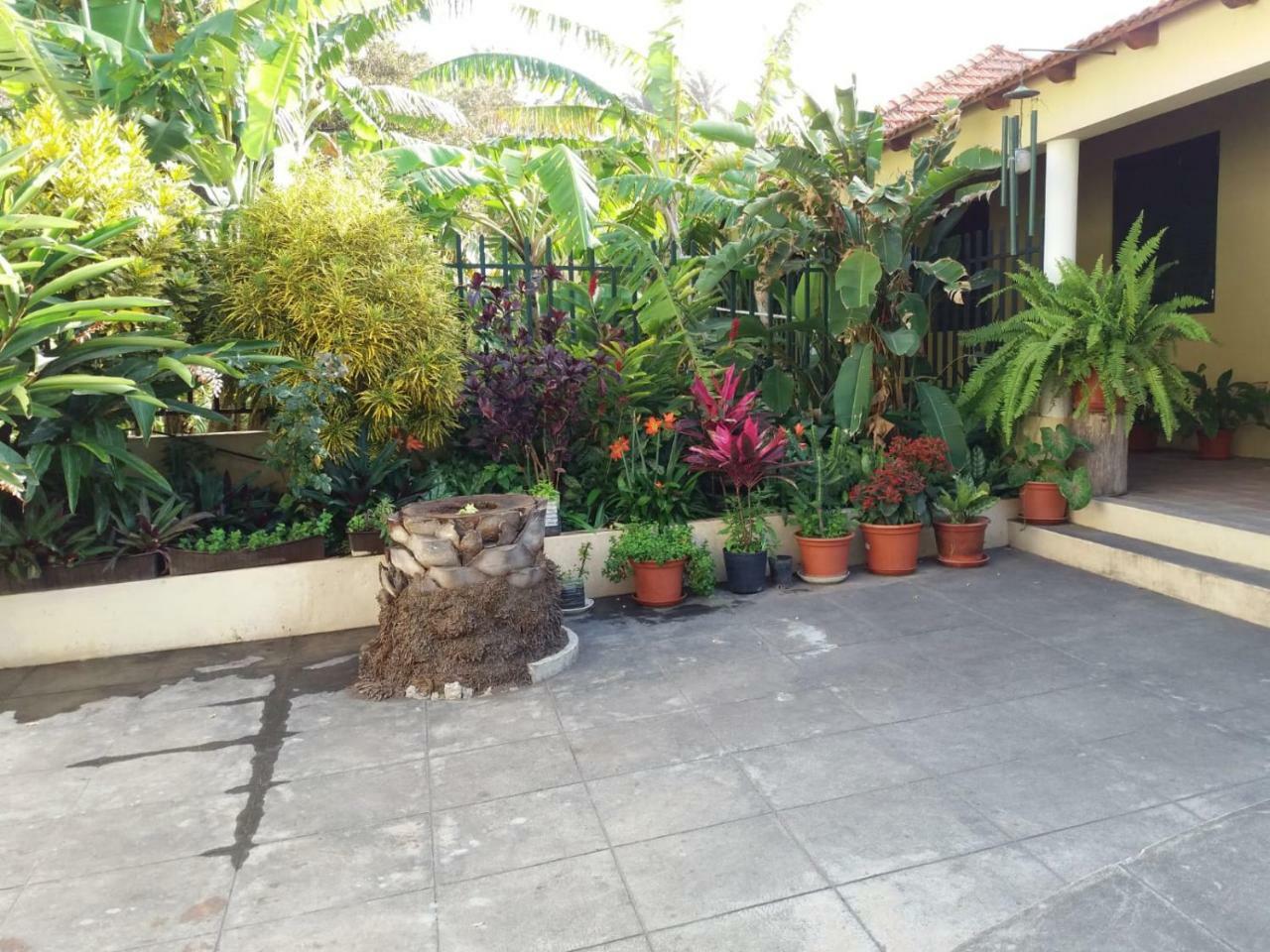 Ribeira Grande Country House Cha de Arroz エクステリア 写真