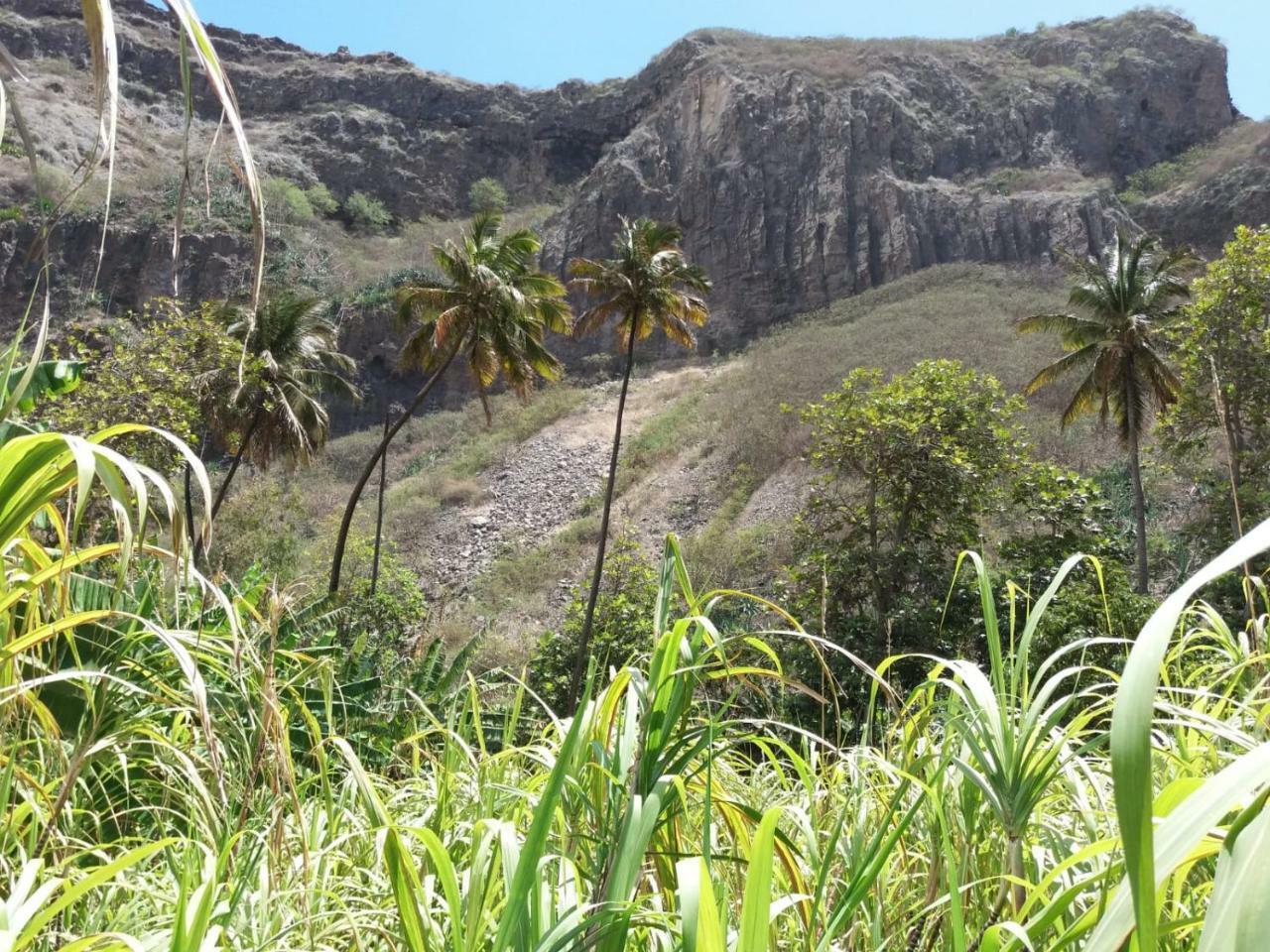 Ribeira Grande Country House Cha de Arroz エクステリア 写真