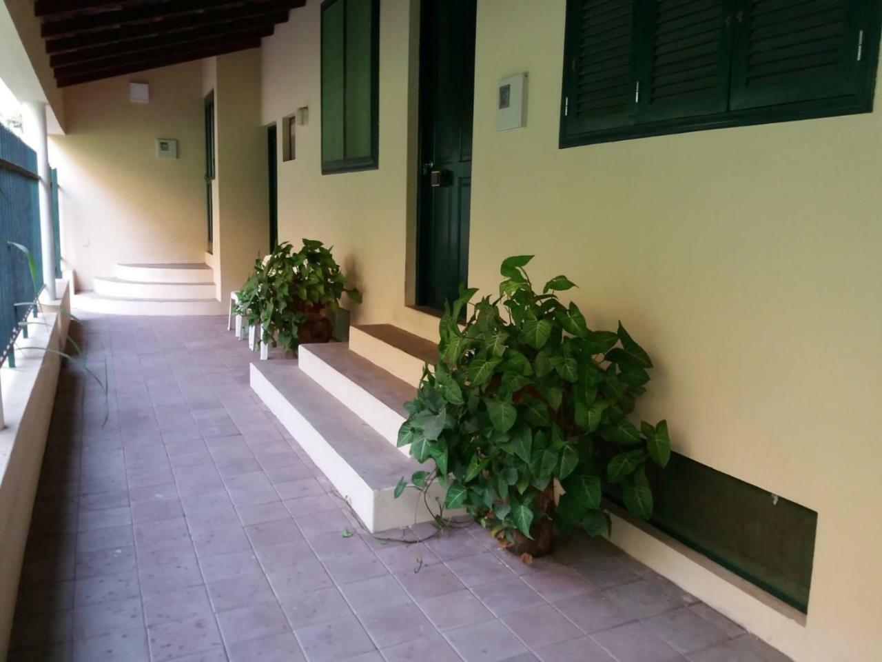 Ribeira Grande Country House Cha de Arroz エクステリア 写真