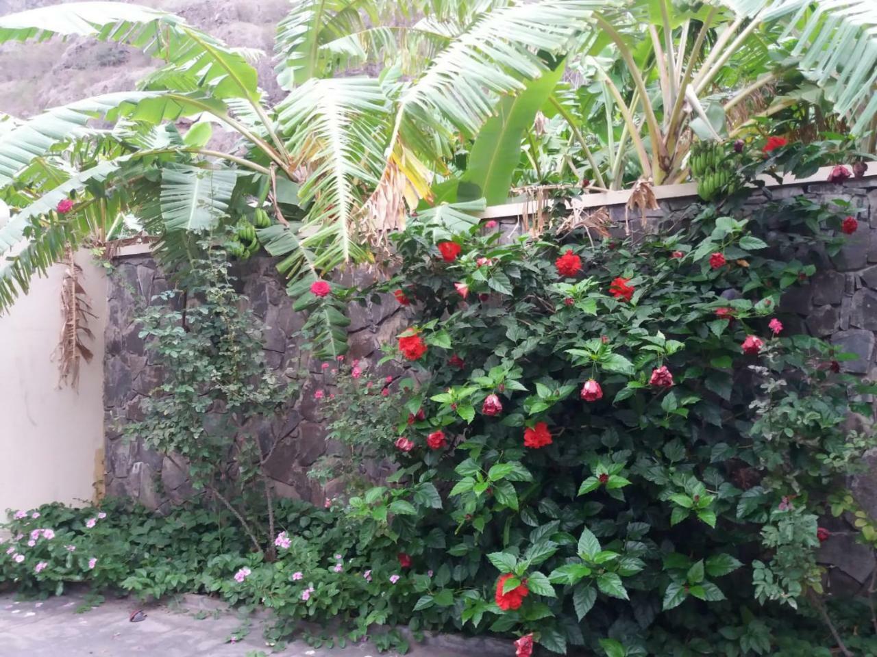 Ribeira Grande Country House Cha de Arroz エクステリア 写真