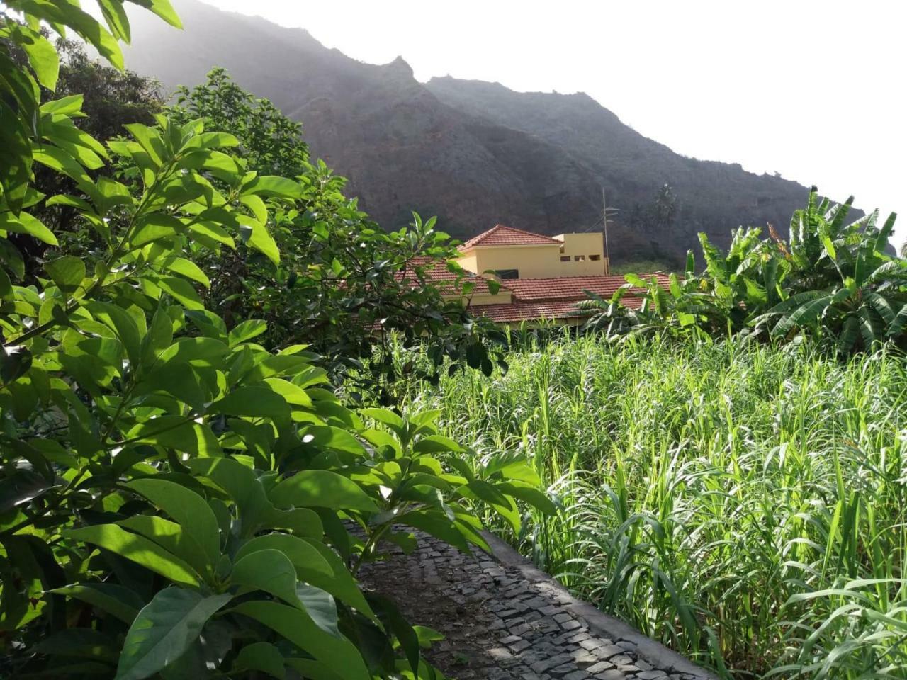 Ribeira Grande Country House Cha de Arroz エクステリア 写真