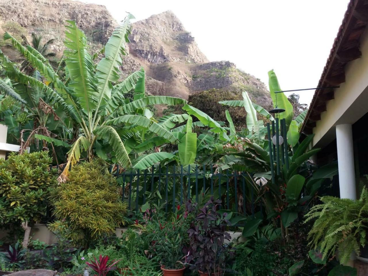 Ribeira Grande Country House Cha de Arroz エクステリア 写真